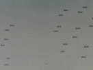 bombs