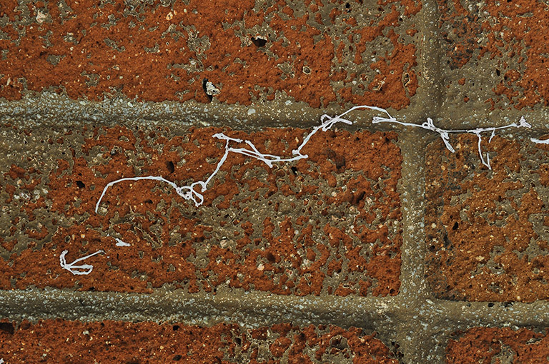 Broken Tech Brick Wall