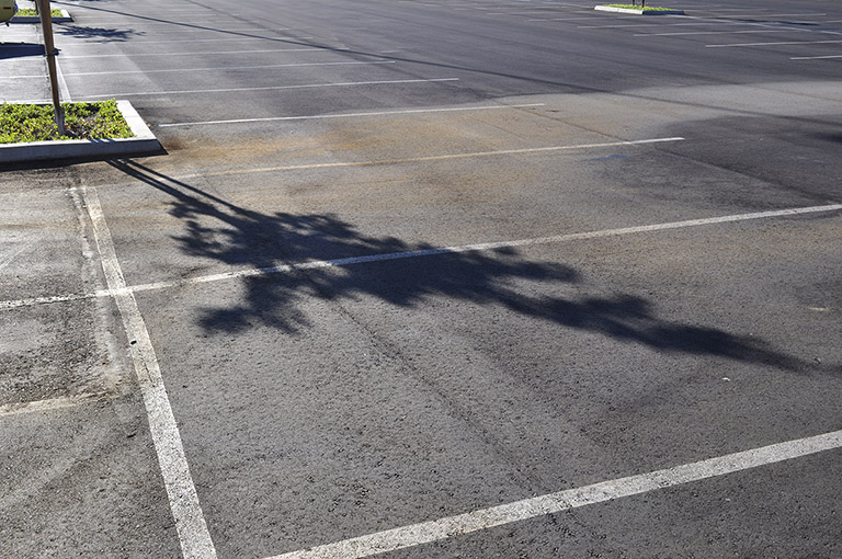 Broken Tech Pavement Tree Shadow