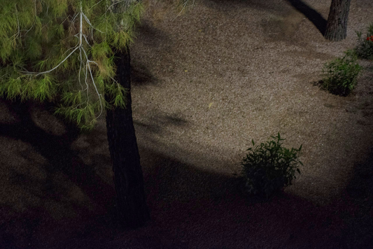 Untitled from Evidence