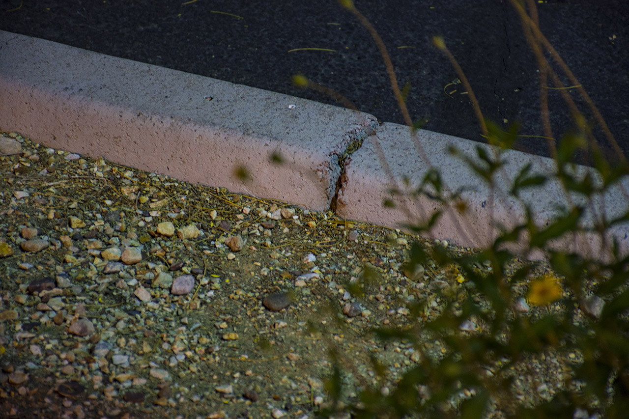 Untitled from Evidence