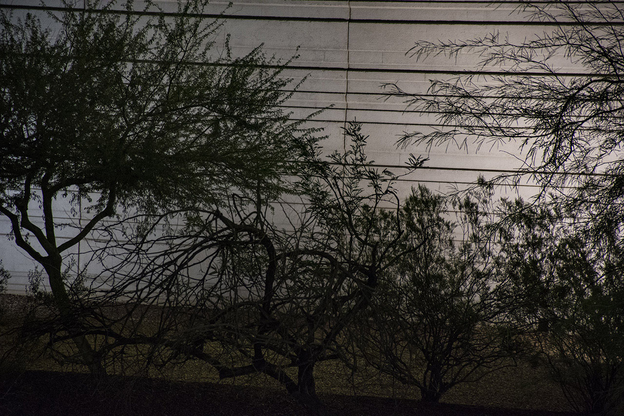 Untitled from Evidence